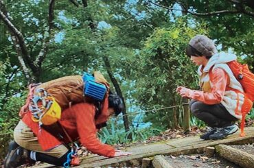 【下山メシ 】めちゃくちゃ美味しそうにカキフライを食べる志田未来