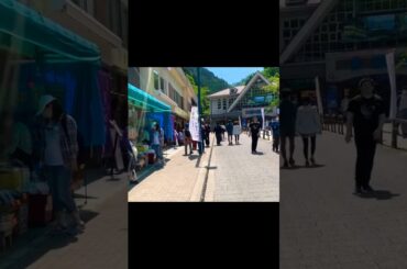 ③ 【全国コロナ感染者1.04倍増・お盆休み影響？4週ぶり増】コロナ明けの高尾山は大賑わい！【変異株KP.3、喉の痛み、味覚障害注意】【熱中症、ゲリラ豪雨、地震、台風注意】（東京都 八王子市）