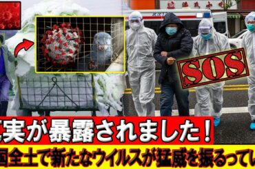 習近平があらゆる手段で隠そうとしていた真実がついに暴かれた！！！「中国全土で新たなウイルスが猛威を振るっている…」コロナ禍の痛ましい歴史が再び繰り返されるのか？！