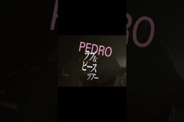 PEDRO TOUR 2024 「ラブ&ピースツアー」開催中🏃LIVE HOUSE FEVER公演にて#PEDRO#アユニ・D