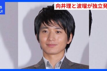 向井理と波瑠が新たなスタート！独立発表の真相とは？ | WDI SAISOKU NEWS #ホリ・エージェンシー #合併 #向井理 #波瑠 #小野田丈士