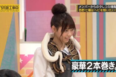 【乃木坂46】『乃木坂工事中』🌞🌞🌞「メンバーからのタレコミ情報 西野七瀬はヘビを飼いたい!」