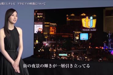 ソニーブラビアCMのインタビュー　北川景子