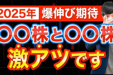 【大波来る】2025年に狙いたい２つの有力株