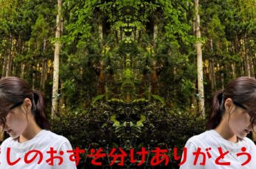 有村架純”私は元気です”と最新ショット公開にファン安堵「癒しのおすそ分けありがとう！」