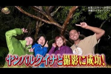 【イッテQ12月29日年末SP】女芸人とキジーの沖縄ツアーがヤバすぎたｗ＜フル/見逃し配信＞世界の果てまでイッテq2024年12月29日