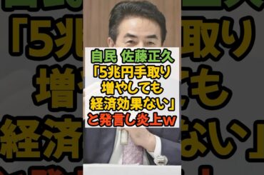 自民党 佐藤正久 「5兆円手取り増やしても経済効果ない」と発言し 炎上 #自民党 #基礎控除 #税金 #国民民主党 #減税
