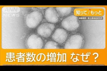 インフルエンザ「pdm09型」猛威　2009年にも大流行　医師「免疫持つ人少ない」【知っておきたい！】【グッド！モーニング】(2024年12月29日)