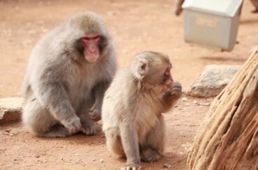 YUKI0211005_TP_V4 (1)