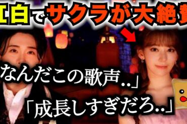 紅白のサクラが日本中で大絶賛されている理由..【LE SSERAFIM】
