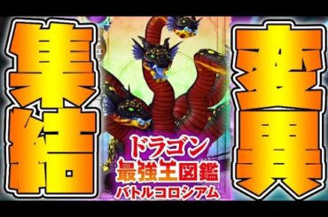 最強ドラゴン変異種大集合！優勝できるか？エリート大会！【ドラゴン最強王図鑑バトルコロシアム】攻略実況Part9