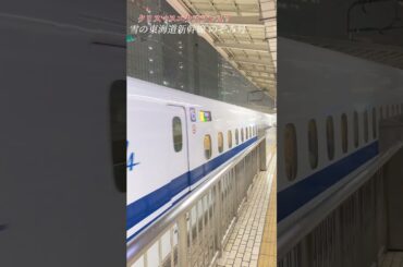 【クリスマスエクスプレス？】雪の東海道新幹線 東京駅 #山下達郎 #クリスマスエクスプレス #シンデレラエクスプレス #クリスマス #東京駅 #jr東海  #のぞみ #xmas #牧瀬里穂 #深津絵里
