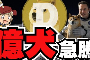 【🔥DOGE上昇】ついにミームバブル開催か！すべての犬がブチ上がり／ビットコイン準備金、裏で買う？／魔界大冒険、新しいコインに注目！