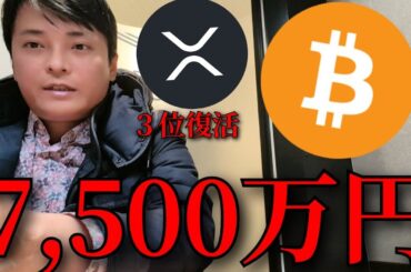 リップル3位に、ビットコイン 2025年50万ドル(7,500万円)あり得る？【仮想通貨 暗号資産 暗号通貨 BTC XRP SOL】
