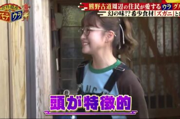 世界遺産のオモテウラ【あばれる君＆鈴木奈々が熊野古道へ！】 2025年1月3日