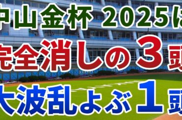 中山金杯2025 追い切り後【買いの1頭】公開！人気馬不安で波乱必至の組み合わせ！実は2000m合う、妙味最大の１頭は？