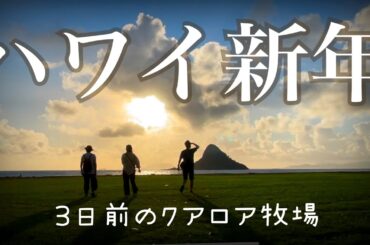 ハワイ【新年2025】3日前のクアロアランチ〜どこでもプライベートツアー