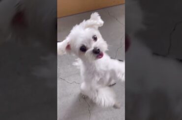 鈴木ゆうか2025年カレンダー