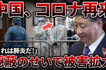 【総集編】2025年さらに拡大しそうな中国の問題特集【ゆっくり解説】