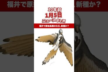 原始鳥類の化石を福井県で発見！10年前の01月05日のニュースを紹介