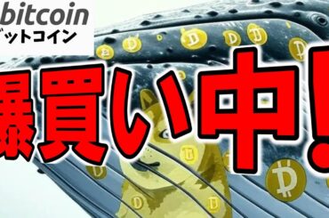 【仮想通貨 ビットコイン】ドージコイン急騰！クジラが大量買いで1ドル到達は近い！？（朝活配信1707日目 毎日相場をチェックするだけで勝率アップ）【暗号資産 Crypto】