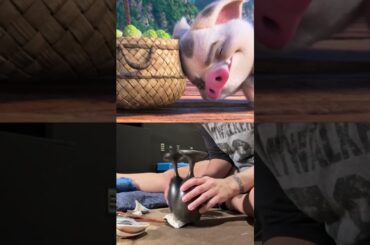 モアナの“音”の作り方～プア🐽＆ヘイヘイ🐔～