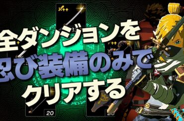 オールダンジョン装備縛り攻略解説『忍び装備編』【ゼルダの伝説 ティアーズ オブ ザ キングダム】