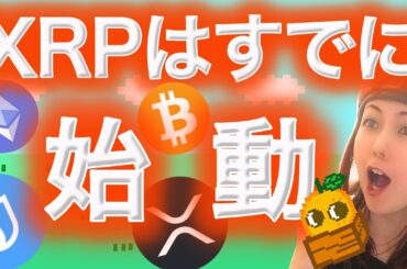 いま仮想通貨を買っていいかわからない方へ！！