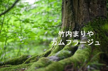 竹内まりや・カムフラージュ