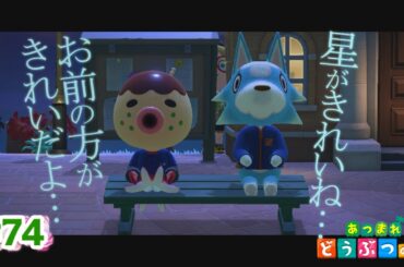 【あつまれどうぶつの森】#74 星…きれいだね。ﾆﾁｬｧｯ #shorts