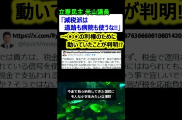 【は?】立憲民主党 米山「減税するなら道路も病院も使うな」→〇〇利権のためと判明!?【政治ニュース】