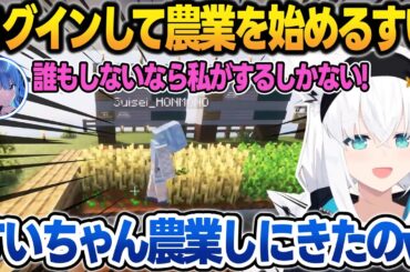 ログインして即みこちとてぇてぇした後、農業を始めるすいちゃんを見守るフブさん【白上フブキ/さくらみこ/星街すいせい/音乃瀬奏/不知火フレア/ホロライブ/切り抜き】