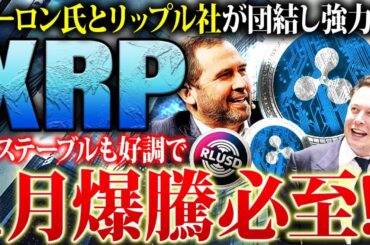 【リップル(XRP)】イーロン氏とリップルCEOが団結！来る1月20日に大高騰間違いなし！今後の動きと利確戦略を徹底解説【仮想通貨】