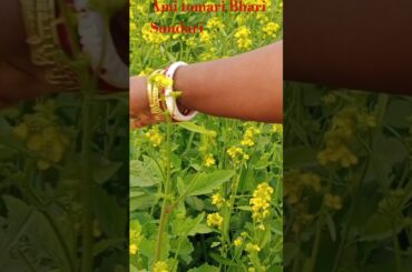 Ami tomari Bhari Sundari !! #shorts #ytshorts #dream Jeet #couplegoals