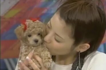 Utaban - Aya Matsuura - The Last Night - 2003 09 11 (Eng Sub)