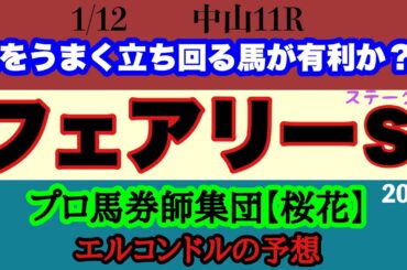 エルコンドル氏のフェアリーステークス2025予想！！力の抜けた馬はおらず実力拮抗の混沌とした難解な一戦！今の中山の馬場状態から浮上する馬を狙ってみる！