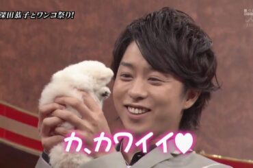 嵐 x 深田恭子とワンコ祭 開催!柴咲コウにまさかの熱湯銃が!! x 戸田恵梨香の素顔を関係者が暴露! | 嵐には面白い瞬間 09.01.2025