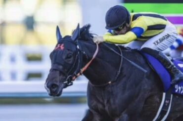 競馬・新春の大予想！　３歳牡馬クラシック――皐月賞、ダービーで戴冠を遂げるのは？
