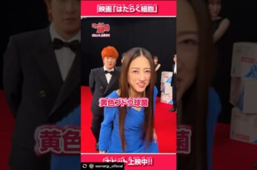 佐藤健 (Takeru) Part16