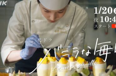 1/20 (月) スタート！夜ドラ「バニラな毎日」2分PR | 蓮佛美沙子、永作博美 出演 | NHK