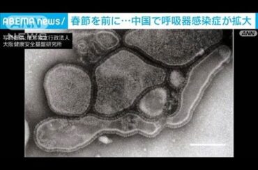 春節を前に…中国で「ヒトメタニューモウイルス感染症」拡大　呼吸器の感染症(2025年1月7日)