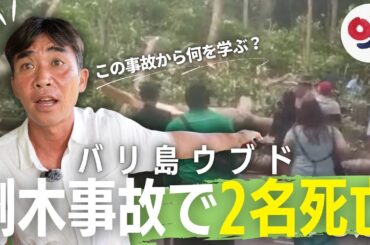 バリ島で起きた倒木事故について現地ツアー会社代表に聞いてみた！
