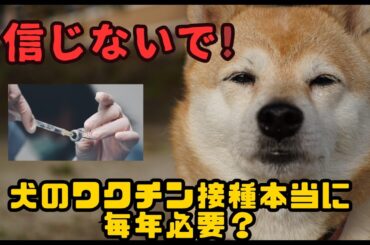 犬のワクチン接種本当に毎年必要？信じないで！