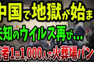 中国で未知のウイルスが猛威！1日2000人の患者殺到！火葬場がパンクで2週間待ち！病院は地獄絵図【ゆっくり解説】