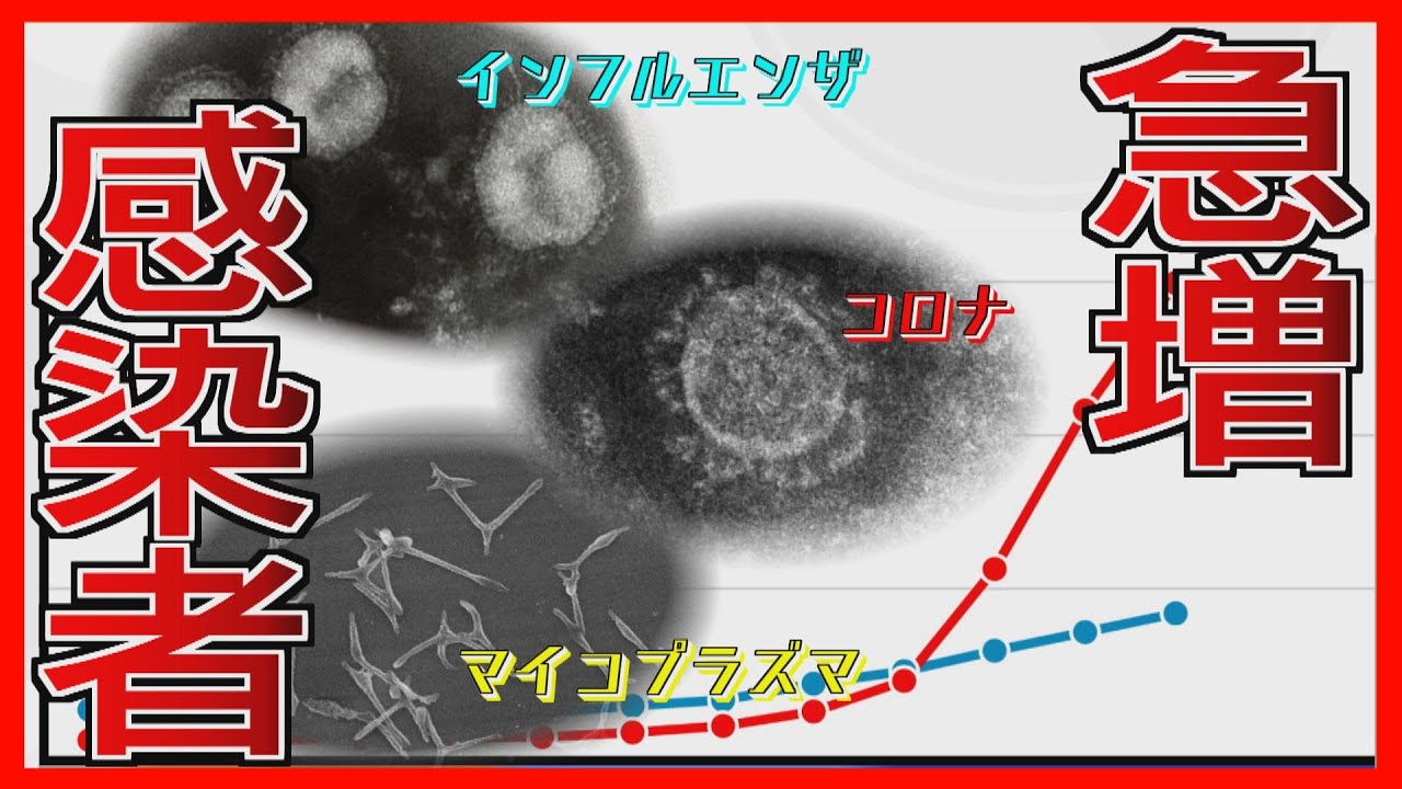 道内でもインフルエンザと新型コロナが同時流行 クリニックの待合室にも患者大勢 理由と対策は 道内でもインフルエンザと新型コロナが同時流行 クリニックの待合室にも患者大勢 理由と対策は