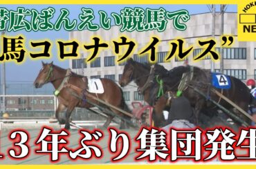 競争馬の発熱相次いでいた問題 症状重い８頭から“馬コロナウイルス” 13年ぶり集団発生　帯広ばんえい競馬