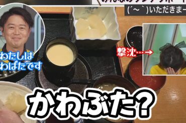 【小川千奈/川畑玲】河豚をかわぶたと読んでしまい次に出て来るきらりんも困惑する事態になるお天気キャスター