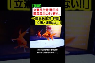 【朗報】国民民主党「立憲民主と連携無い!!」→立憲野田氏の裏事情がコチラ…【政治ニュース】