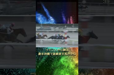 【競馬】桃花賞2025を鬼絞り4点攻略！