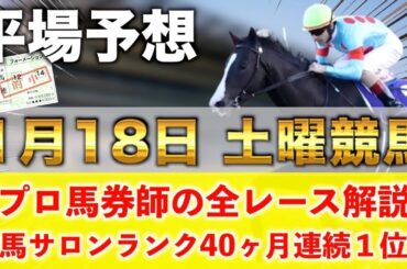 【1月18日土曜競馬予想】驚異の17週連続の新馬戦的中へ‼️プロが平場全レース予想を無料公開！【平場予想】